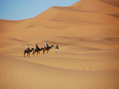 [2025 Latest Edition] 3 recommended eSIMs for traveling to Morocco and a thorough explanation of how to choose them