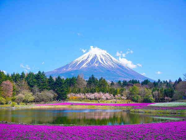 3 Best SIM Cards for Japan in 2025
